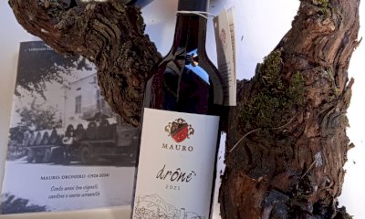 Anche la Mauro Vini tra le “Imprese Storiche d’Italia”