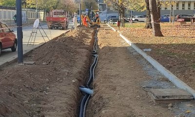 Gli alberi abbattuti in piazza Cottolengo diventano un caso: 
