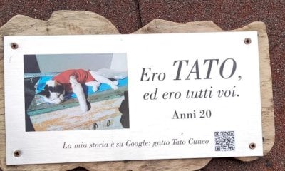 Al Parco Safari delle Langhe una targa in memoria del gatto Tato
