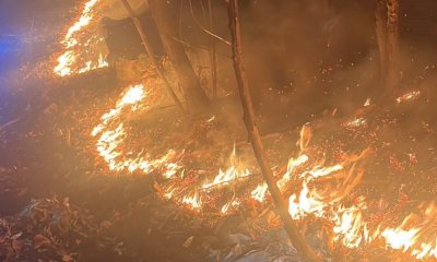 Incendio di Miroglio: rogo estinto sul versante di Roccaforte Mondovì