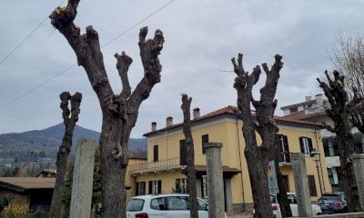 Garessio, alberi sfiorano i cavi: intervento per mettere in sicurezza piazza ex Enel