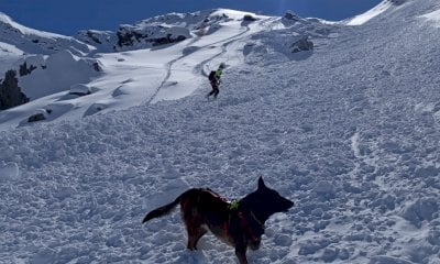 Il Soccorso Alpino e il Servizio Regionale di Elisoccorso hanno attivato l'unità cinofila da valanga