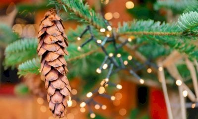 Domenica 30 novembre la magia del Natale farà tappa a Casalgrasso