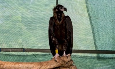 Dalla Regione 150 mila euro per i tre Cras del Piemonte