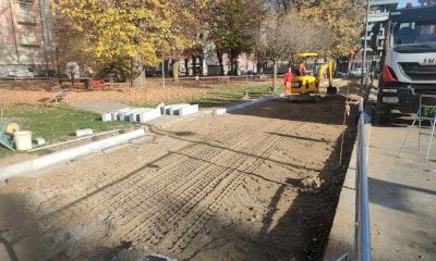 Alberi abbattuti in via Boggio, botta e risposta in Comune: “Intervento comunicato il giorno prima”. “Falso”