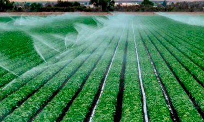 Impianti irrigui, dalla Regione tre milioni in più alle aziende per il ripristino e il miglioramento