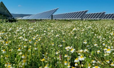 “Dal governo un ‘colpo di spugna’ alle limitazioni per gli impianti di agrivoltaico”