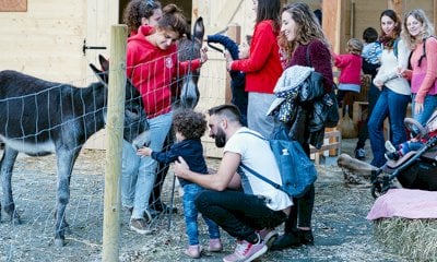 Autunno alla Fattoria Sociale Paideia: workshop inclusivi nella natura