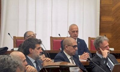 Vertenza Dana, Bergesio: 