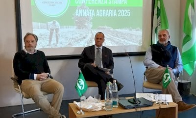 Agricoltura, Cia Cuneo traccia il bilancio del 2025: 