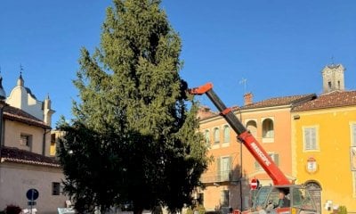 A Piozzo arriva l'albero di Natale decorato con le... zucche