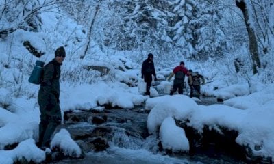 Avviate in valle Stura le operazioni di spremitura dei salmonidi per la riproduzione artificiale