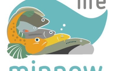 Un convegno sulla gestione sostenibile della fauna ittica a Cuneo