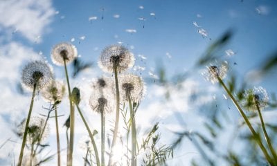 Una serata di solidarietà al centro diurno Il Ramo