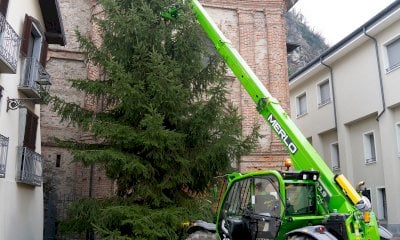 A Roccavione torna il grande albero di Natale: il paese si mette all’opera per addobbarlo