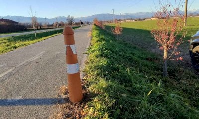 Moretta, nuove siepi e alberi lungo il chilometro fiorito 