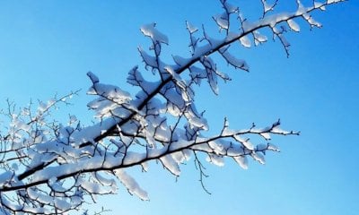 Che inverno ci aspetta? Caldo, con precipitazioni concentrate nei primi due mesi