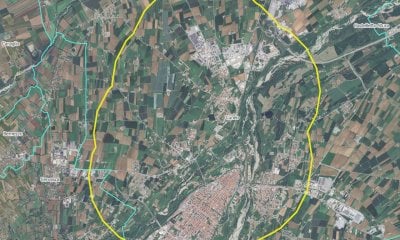 Tarlo asiatico, al via i monitoraggi obbligatori nella zona cuscinetto dell’area di Cuneo