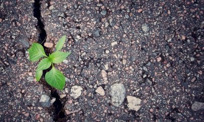 Giornata del suolo, Coldiretti Cuneo: “La cementificazione fa sparire 1,2 miliardi di cibo all’anno”