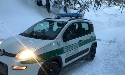 Bracconieri sorpresi a cacciare camosci nel Parco del Monviso