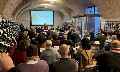 Il Barolo 2022 convince gli esperti: un vino selettivo che racconta la resilienza del territorio