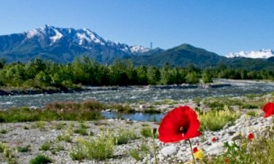 In Piemonte sole e temperature sopra la media per almeno una settimana. Zero termico sopra i 3 mila metri