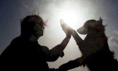 Il 18 e 19 dicembre due nuove iniziative di Auser Cuneo e vallate