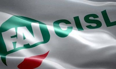 Fai Cisl prima alle elezioni per il rinnovo della RSU all’ex Diageo di Santa Vittoria d’Alba