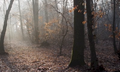 Due appuntamenti con il Parco del Monviso tra Caramagna Piemonte e Revello