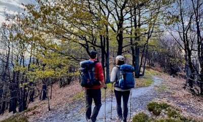 “A zonzo in Valle Pesio”: il nuovo portale per scoprire i sentieri del territorio