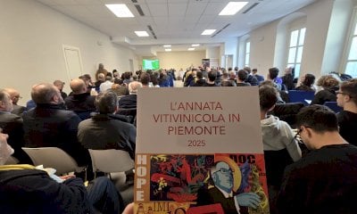 I dati dell'annata vitivinicola 2025 in Piemonte: per il settore un fatturato da 1.180 milioni