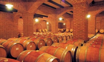 Viticoltori piemontesi in affanno: le proposte di Confagricoltura per sostenere le aziende