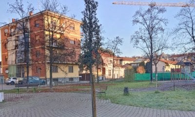 Verde urbano a Bra: al via il programma di interventi della stagione invernale