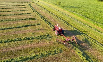 Coldiretti Cuneo: “I tagli alla Pac colpiscono la sicurezza alimentare”