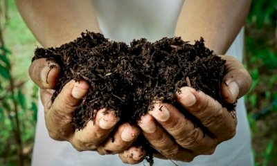 A Cuneo al via i controlli sul compostaggio domestico e non domestico