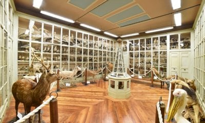 Bra, il Museo Craveri sarà accessibile a tutti