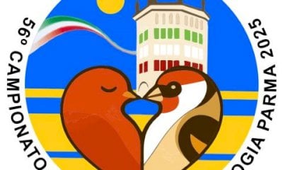 Pioggia di medaglie nella “Granda” al Campionato Italiano di Ornitologia