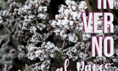 Inverno al parco: coltiviamo stupore, curiosità e rispetto per la natura