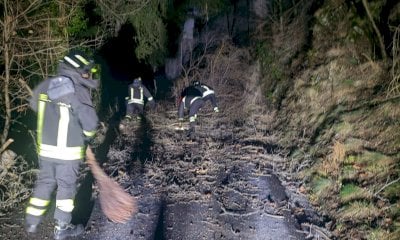 Albero cade sulla strada a Ormea: intervento dei vigili del fuoco