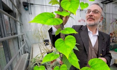 Stefano Mancuso presenta ad Alba il suo nuovo libro “Il Cantico della Terra”