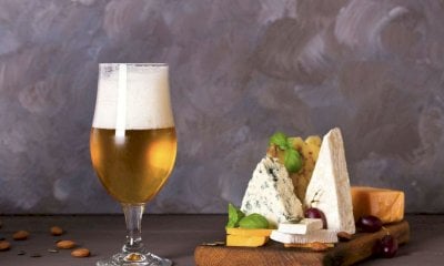 Filiera brassicola, Cia Cuneo: “Dal bando regionale, opportunità per aggiornamento professionale”