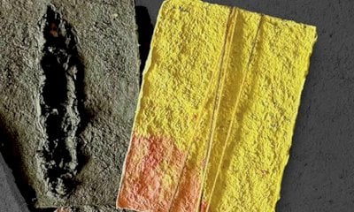 Alla Fondazione Casa Delfino una mostra dedicata a Basso Sciarretta