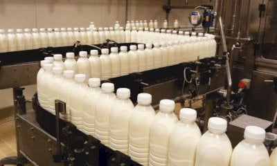 Latte, Coldiretti chiede di fermare le importazioni: 