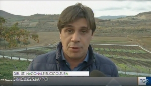 'Il benessere che arriva dalle lumache' al Tg3 Toscana