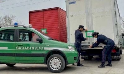 Centocinquanta chili di alimenti scaduti in magazzino: nel locale tutto il personale era in nero