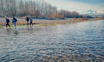 I risultati del censimento della trota marmorata nel Pellice: continua il declino di questa specie