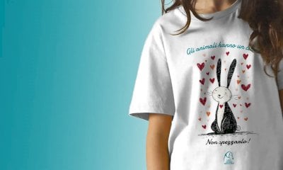 Cane impiccato nel monregalese, LNDC sporge denuncia: 