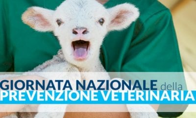 25 gennaio: 1^ Giornata nazionale della prevenzione veterinaria