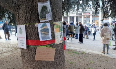 Piazza Europa, l’ultimo appello al Comune: “Fermatevi, cambiare il progetto è possibile”