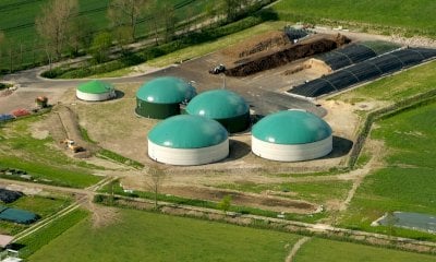 Dl Bollette, Coldiretti Cuneo: “No al taglio dei prezzi minimi sul biogas, necessari correttivi”